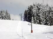 Tour du pin - Skilift a piattello