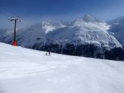 Pista larga n. 3 Wilder Mann