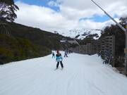 Pista facile Wombats Ramble