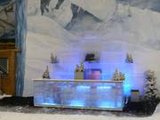 Eisbar nella pista da sci al coperto
