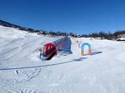 Suggerimento per i più piccoli 