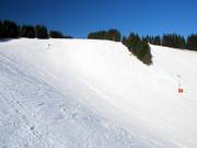 I pendii aperti del Pferdeloch sono tipici dell’area sciistica di Postwiesen.