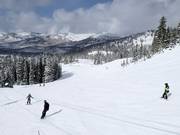 Pista presso la seggiovia Crest 6