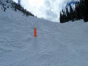 Pista di gobbe nell’area sciistica di Kicking Horse