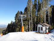 Rivetta - Skilift a piattello