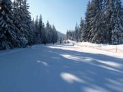 Facile pista per famiglie presso la seggiovia Sonnenhang