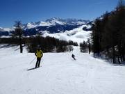 Discesa sportiva verso Törbel