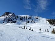 Pista Buckelpiste Highway