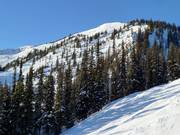 Vista sulla zona Eagle East con difficili discese Double Diamond