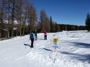 Pista da fondo sulla Hochrindl