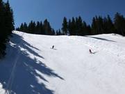 Pista ripida 3 Arch. Peter Petrov