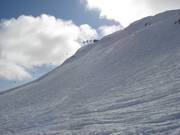 Zona di neve fresca nel Symphony Amphitheatre