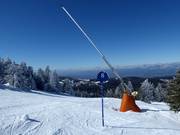 Segnaletica delle piste