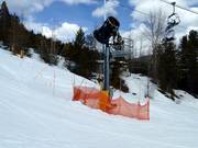 Cannone da neve nell’area sciistica di Kimberley