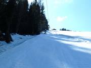 Schlepplift Lackner - Skilift con T-bar/ancora