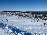 Vista sulle piste per principianti presso il Trysil Høyfjellssenter