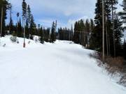 Discesa facile Woodcutter presso la seggiovia Plaza