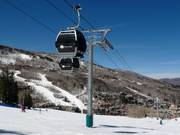 Haymeadow Express Gondola - 8pers.| Telecabina (Monofune)
