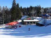 Restaurace Pod Pařezem