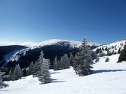 Vista verso Pančićev vrh