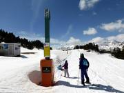 Gall de Bosc - Manovia/Babylift a fune bassa