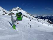 Cannone da neve fissa