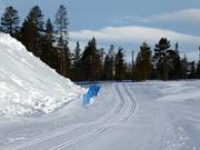 Pista da fondo con deposito di neve
