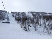 Vista sulle piste difficili dalla seggiovia Osthangsbanan