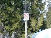 E' vietato sciare nei boschi