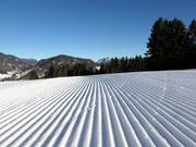 Ottima preparazione delle piste al Söllereck