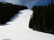 Tipiche piste mogul a Vail