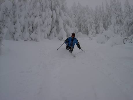 Offerta di piste Cascade Range – Offerta di piste Mt. Bachelor