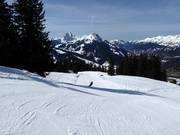 Mike von Grünigen Run a Schönried