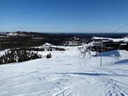 Vuosseli Express con panorama sulla Finlandia settentrionale