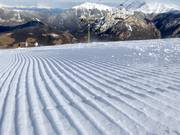 Fresche tracce nella neve