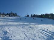 Pista da sci al Mehliskopf