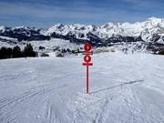 Segnaletica delle piste a Wildhaus