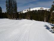 Discesa facile Galloping Goose