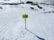 Informazioni sulla pista