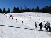 Hornbabylift - Skilift a piattello