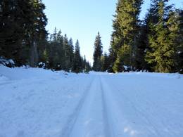 Černá hora - Janské Lázně