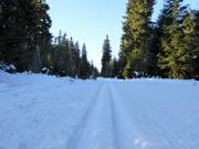 Pista da fondo nell’area sciistica Černá hora