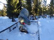 Suggerimento per i più piccoli 