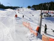 Kleiner Götschenlift - Skilift con T-bar/ancora