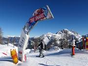 Suggerimento per i più piccoli  - The Snake