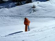 Cannone da neve installato fisso