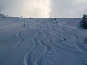 Tracce nella neve fresca