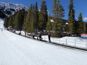 Tappeto mobile per le prime prove