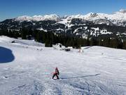 Pista di esercitazione con skilift a piattello Kapell