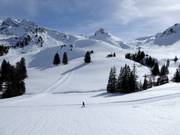 Sogno d’inverno Adelboden-Lenk